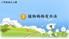 《植物妈妈有办法》课件