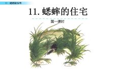 《蟋蟀的住宅》课件