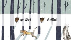 《什么比猎豹的速度更快》课件