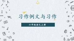 《习作例文与习作》课件