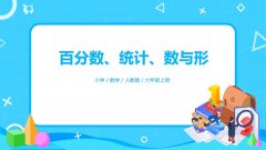 9.3《百分数、统计、数与形》PPT课件