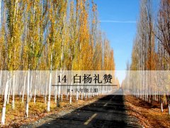 《14 白杨礼赞》课件