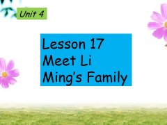 Unit 4 Lesson 19 Meet Li Mings Family