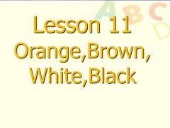 Lesson 11 Orange Brown White Black 精品课件