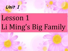 Unit 1 Lesson 1 Li Mings Big Family