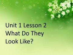 Unit 1 Lesson 2 What Do They Look Like 课件