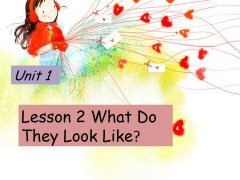 Unit 1 Lesson 2 What Do They Look Like