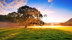 《语文园地六》课件